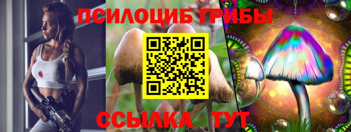 Галлюциногенные грибы GOLDEN TEACHER Учалы